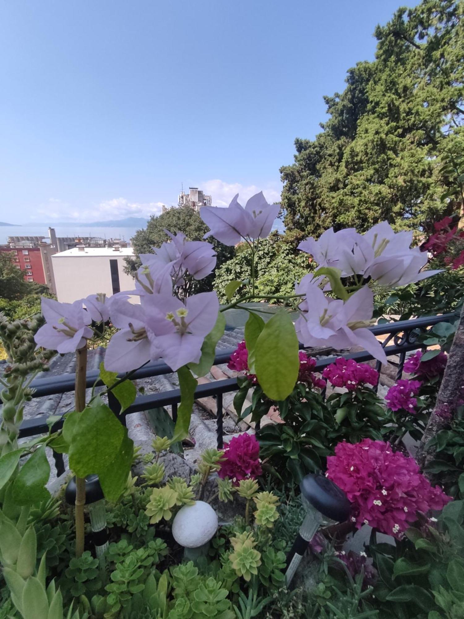 Apartman Bella Vista Rijeka Apartment Exterior photo